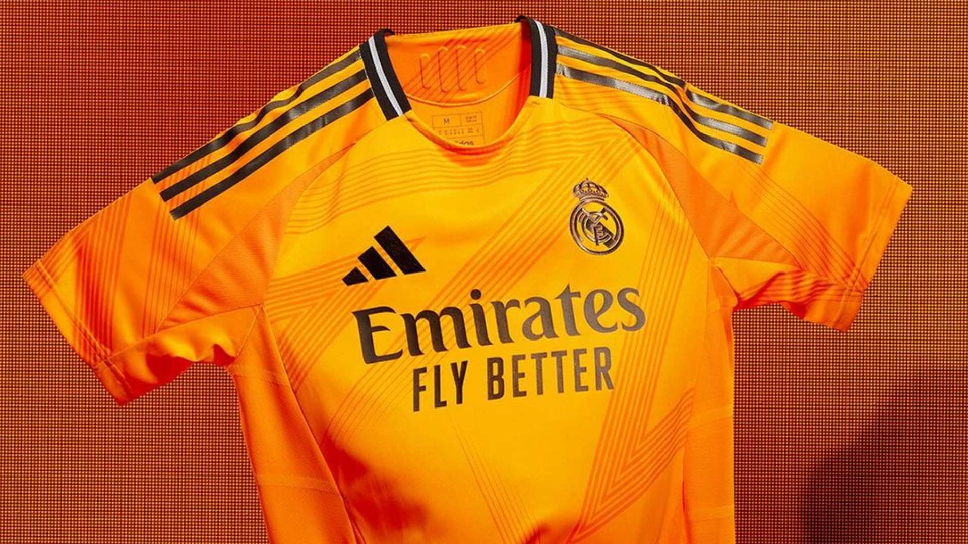 无论是维尼 无论是维尼