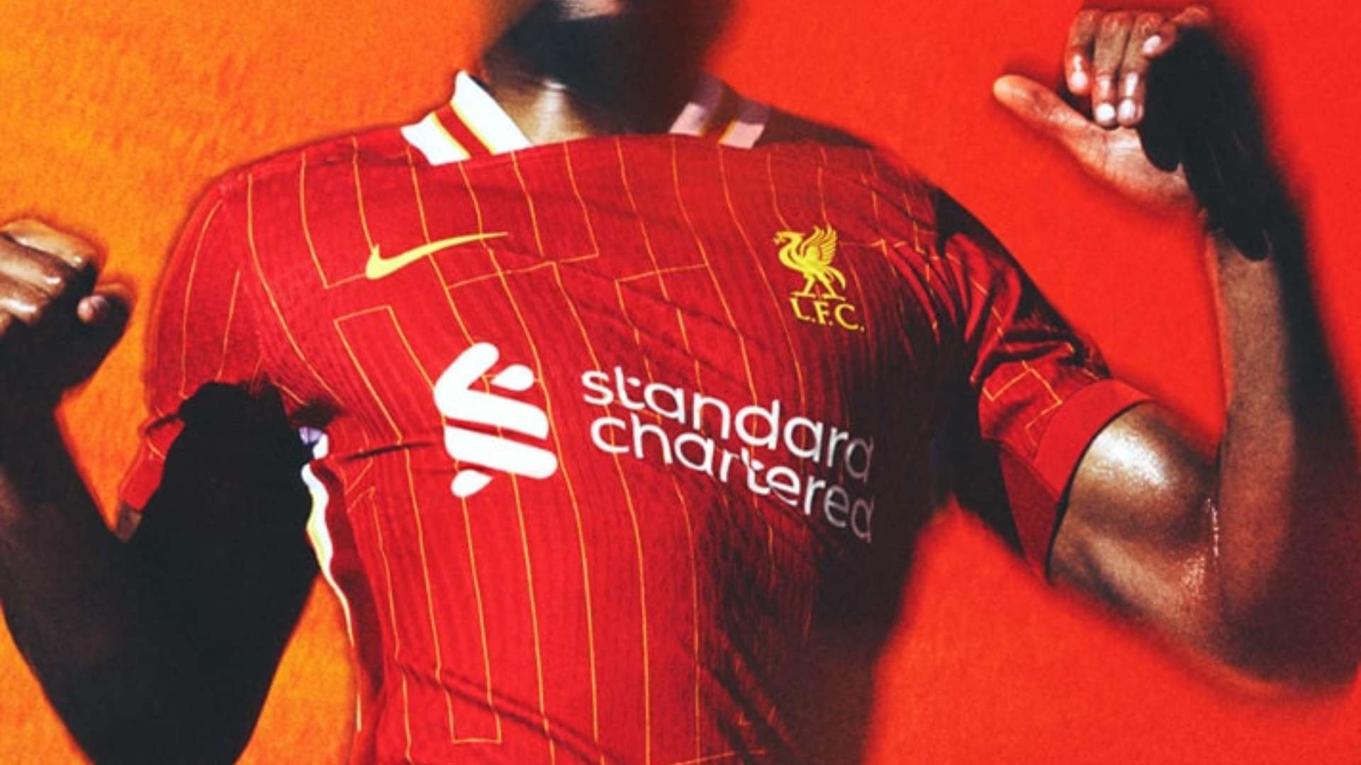 然與實力之 然與實力之